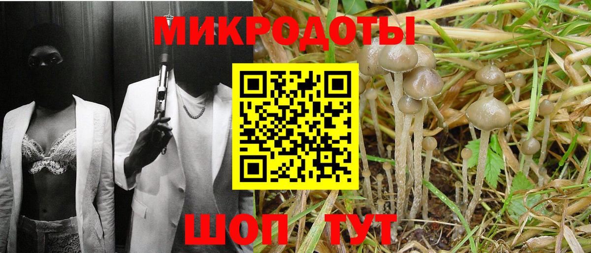 Псилоцибиновые грибы Psilocybe  Галлюциногенные грибы прущие грибы  Вышний Волочёк  Вход с VPN 