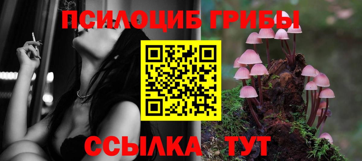 Галлюциногенные грибы Psilocybine cubensis Вышний Волочёк